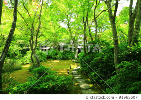 初夏的京都嵯峨野大河內山莊花園 初夏的京都嵯峨野大河內山莊花園 91965607