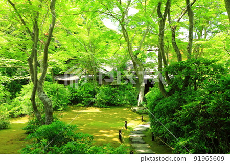 初夏的京都嵯峨野大河內山莊花園 91965609