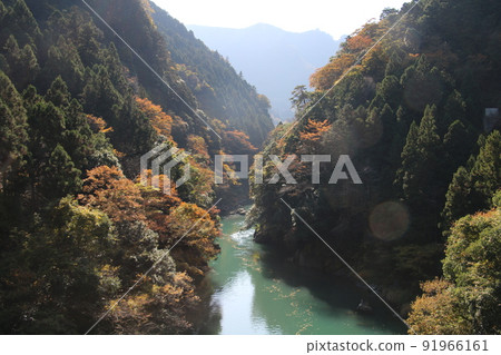 錦州奧多摩溪谷 錦州奧多摩溪谷 91966161
