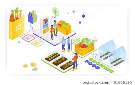 Farmers growing organic vegetables. People shopping with eco friendly bags, vector isometric illustration. Healthy life. 91966180