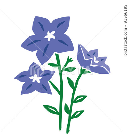 桔梗復古矢量圖 桔梗復古矢量圖 91966195