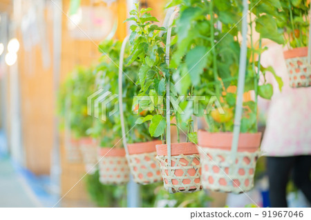 東京保月市的夏日祭典和淺草淺草寺的風鈴 東京保月市的夏日祭典和淺草淺草寺的風鈴 91967046