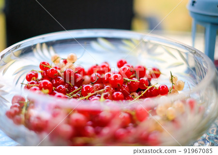 Fresh red currants in a glass bowl. Defocused Fresh red currants in a glass bowl. Defocused 91967085