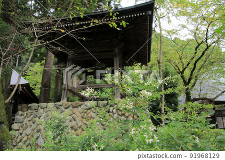 白ha盛開的大渴望寺 白ha盛開的大渴望寺 91968129
