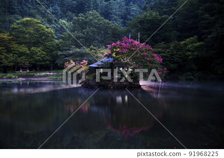 夜間森林公園順天燈火通明的休閒小鎮 夜間森林公園順天燈火通明的休閒小鎮 91968225