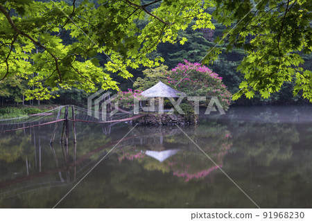 森林公園順天一日遊鎮的紅蘗花 森林公園順天一日遊鎮的紅蘗花 91968230