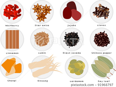 Medicinal spice illustration set 91968797