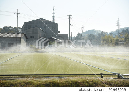 彎曲草坪的栽培 噴水器啟動 91968939