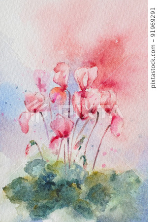 仙客來水彩畫 91969291