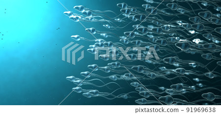 Many sperm cells, slightly transparent, scientifically correct moving forward on blue background - 3d illustration Many sperm cells, slightly transparent, scientifically correct moving forward on blue background - 3d illustration 91969638