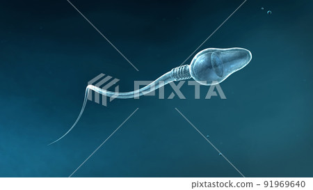 Circular movement forward of a single, slightly transparent, scientifically correct sperm on blue background - 3d illustration Circular movement forward of a single, slightly transparent, scientifically correct sperm on blue background - 3d illustration 91969640