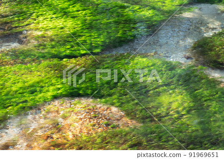 Kamikochi Autumn clear stream Kamikochi Autumn clear stream 91969651