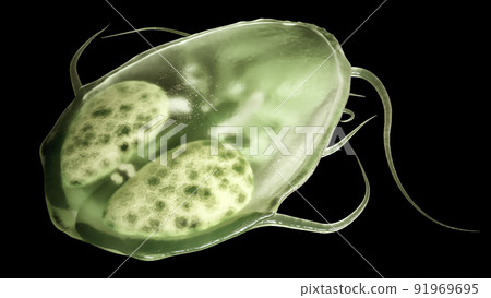 Giardia intestinalis as Closup - 3D Rendering 91969695
