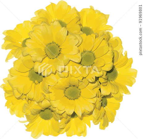 Abstract of yellow Chrysanthemum flower. 91969801