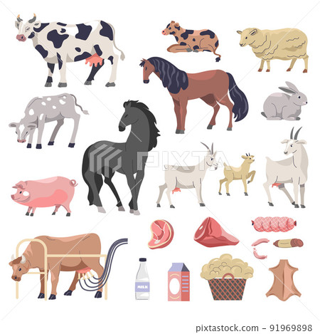 Cattle cows and horses, sheep and goats farms Cattle cows and horses, sheep and goats farms 91969898