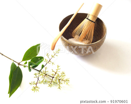 白色背景茶具植物 白色背景茶具植物 91970601