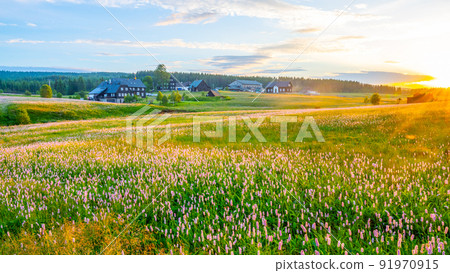 Summer meadow at sunset time 91970915