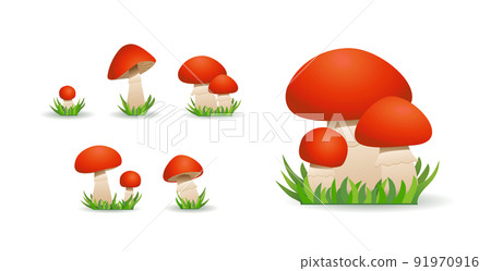 Edible mushroom boletus. Collection of Porcini mushrooms or borovik. 91970916