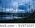 Traditional fishing tool or bamboo fish trap on sunset light, landscape silhouette. 91971025
