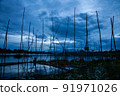 Traditional fishing tool or bamboo fish trap on sunset light, landscape silhouette. 91971026