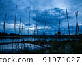 Traditional fishing tool or bamboo fish trap on sunset light, landscape silhouette. 91971027
