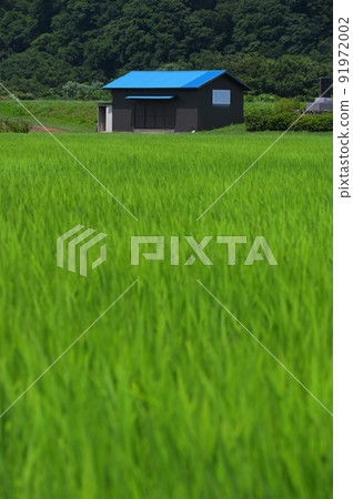 葉山島農村 葉山島農村 91972002