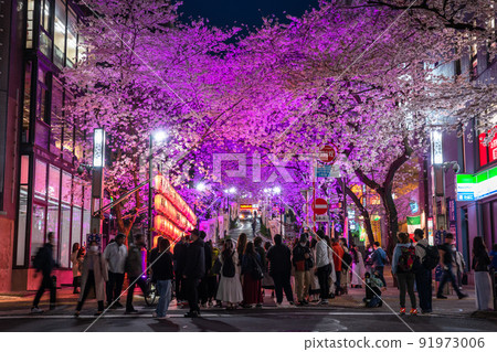 《東京》澀谷夜櫻/櫻坂亮 《東京》澀谷夜櫻/櫻坂亮 91973006
