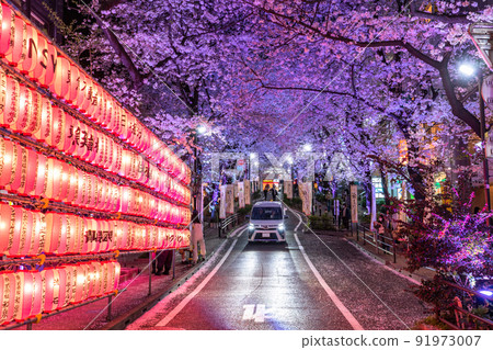 《東京》澀谷夜櫻/櫻坂亮 《東京》澀谷夜櫻/櫻坂亮 91973007
