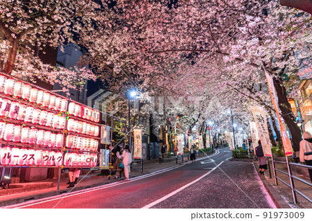 《東京》澀谷夜櫻/櫻坂亮 《東京》澀谷夜櫻/櫻坂亮 91973009