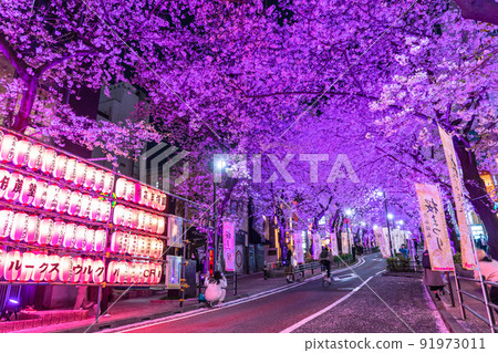 《東京》澀谷夜櫻/櫻坂亮 《東京》澀谷夜櫻/櫻坂亮 91973011