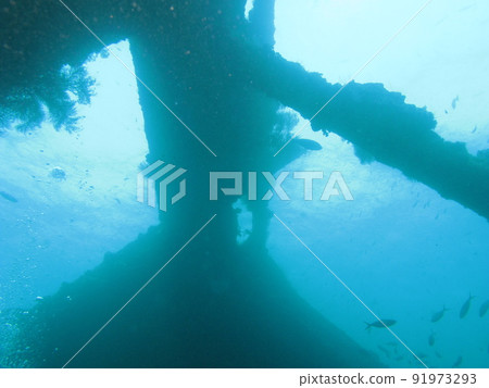 Bali diving Bali diving 91973293