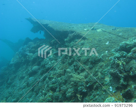 Bali diving 91973296