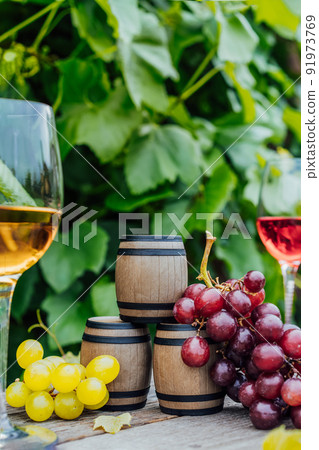 Winery concept. Miniature wine barrels, glasses with white and red wine and grape berries on the wooden table on background of vineyards. Wine tasting, Degustation. Vertical card, copy space. 91973769