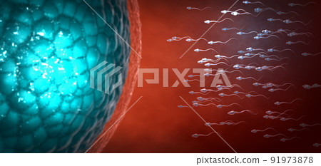 Many sperm cells, slightly transparent, scientifically correct moving forward towards zygote on blue background - 3d illustration 91973878