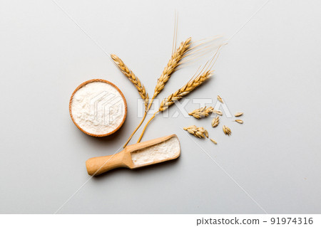 Flat lay of Wheat flour in wooden bowl with wheat spikelets on colored background. world wheat crisis 91974316