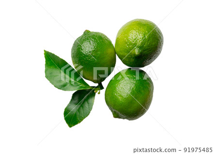 fresh lime citrus fruit isolated on white background top view fresh lime citrus fruit isolated on white background top view 91975485