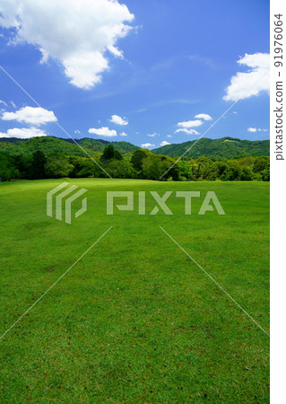 The day after the rainy season, the refreshing Nara Park, the shadow of the clouds over Tobihino 91976064