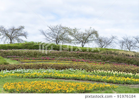 公園的秋天 公園的秋天 91976184