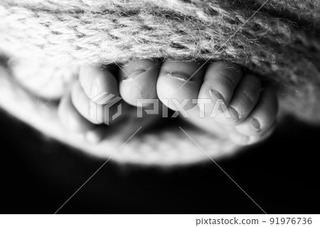 Soft feet of a newborn in a woolen blanket Close-up of toes, heels and feet of a baby.The tiny foot of a newborn. Baby feet covered with isolated background. Black and white studio macro photography Soft feet of a newborn in a woolen blanket Close-up of toes, heels and feet of a baby.The tiny foot of a newborn. Baby feet covered with isolated background. Black and white studio macro photography 91976736