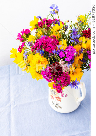 Beautiful summer flowers Beautiful summer flowers 91977056