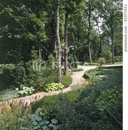 Pebbles pathway in botanic wooden garden Pebbles pathway in botanic wooden garden 91977451