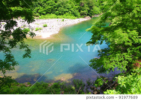 白川鄉/莊川（岐阜縣白川村） 91977689