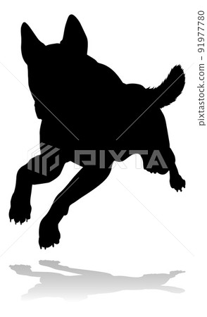 Dog Silhouette Pet Animal Dog Silhouette Pet Animal 91977780