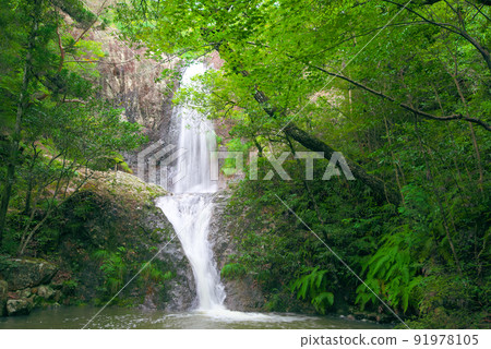 Mitanino Falls surrounded by greenery 5 Bizen City, Okayama Prefecture 91978105