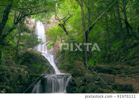 Mitanino Falls surrounded by greenery 8 Bizen City, Okayama Prefecture 91978111