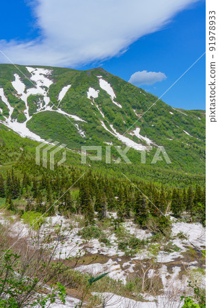 雪季的白馬杉池自然花園 91978933