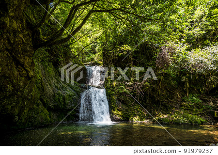 《Gifu Prefecture》 Hida-Kanayama Yokotanikyo Four Waterfalls Futami Waterfall 《Gifu Prefecture》 Hida-Kanayama Yokotanikyo Four Waterfalls Futami Waterfall 91979237