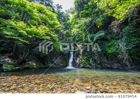 《岐阜縣》飛騨金山、橫谷四瀑、紅葉瀑布 91979454