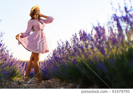 Young woman in a straw hat walking in a lavender field 91979795