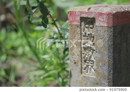 Do you know border Do you know border 91979900